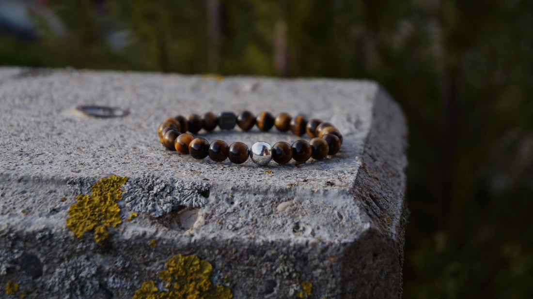 AUGOL - Swiss Rockstars